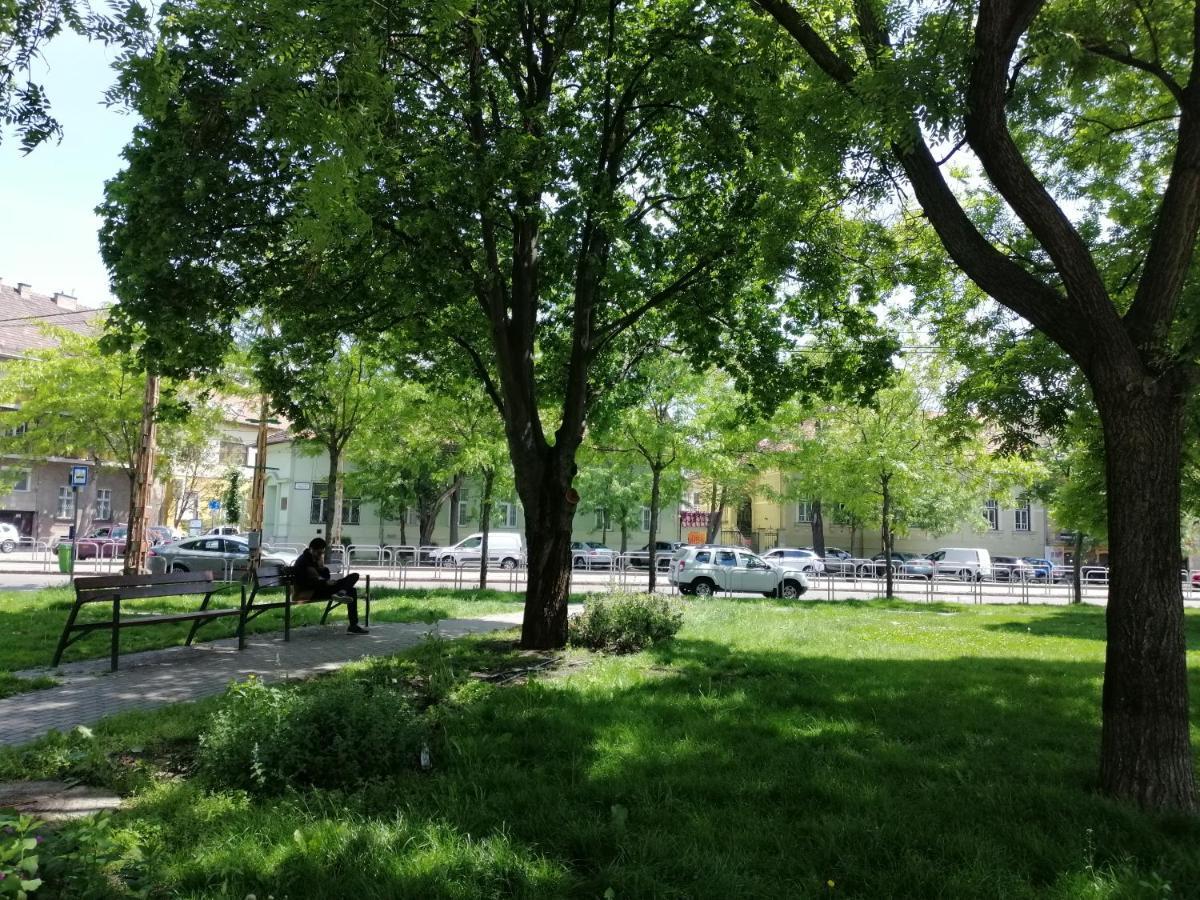 Guest House Orczy Park Budapeşte Dış mekan fotoğraf